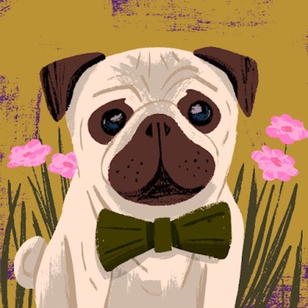 Meet your Posher, Blh